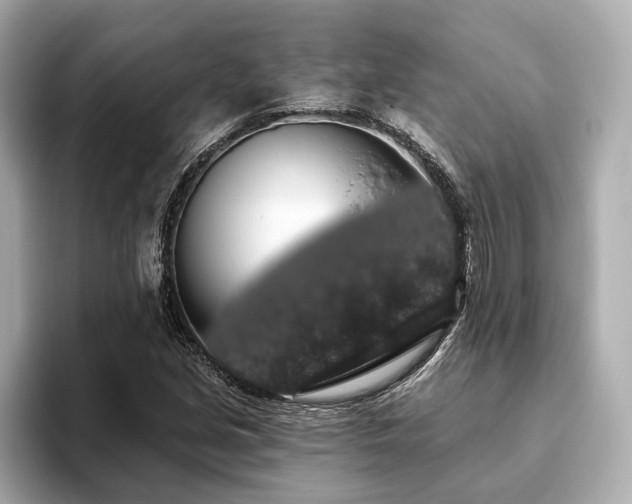 X0000093621213200710151254