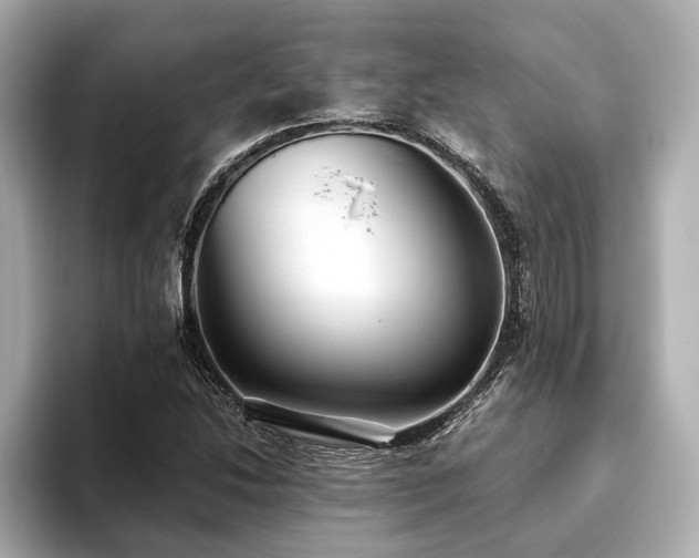 X0000093621214200710151254
