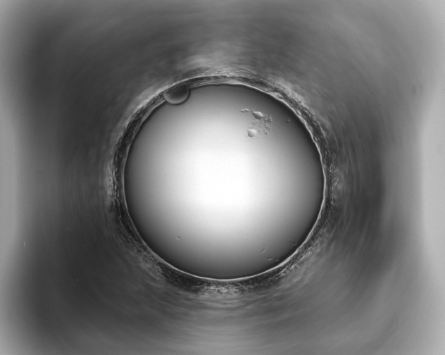 X0000093621215200710151254