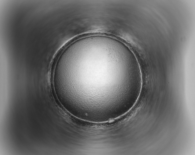 X0000093621216200710151254