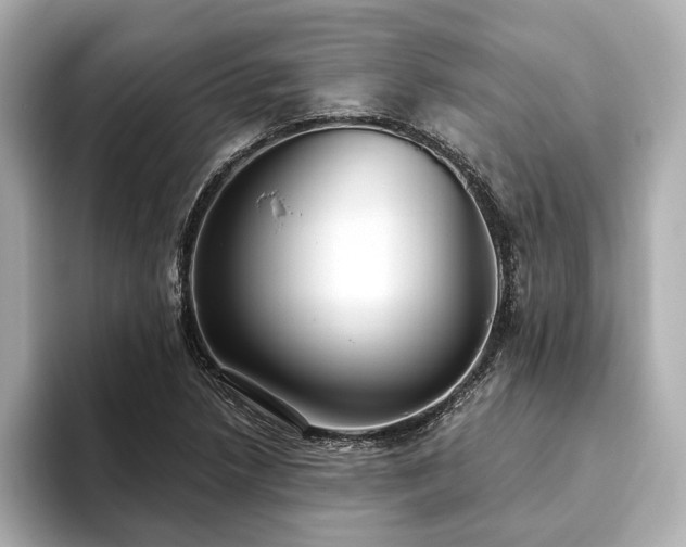 X0000093621218200710151254