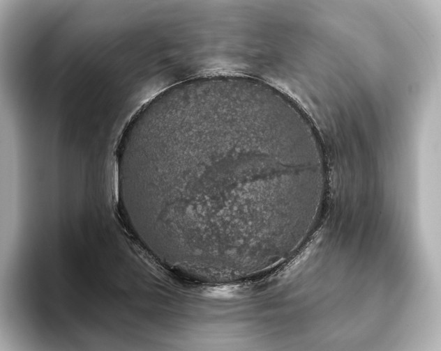 X0000093621219200710151254