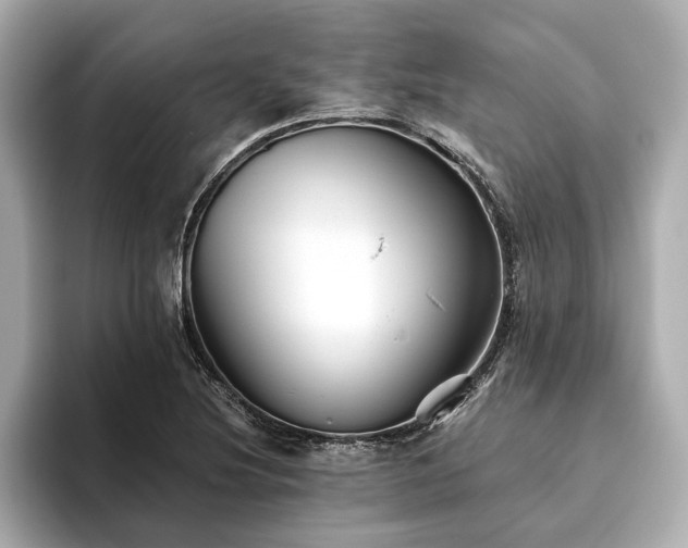 X0000093621220200710151254