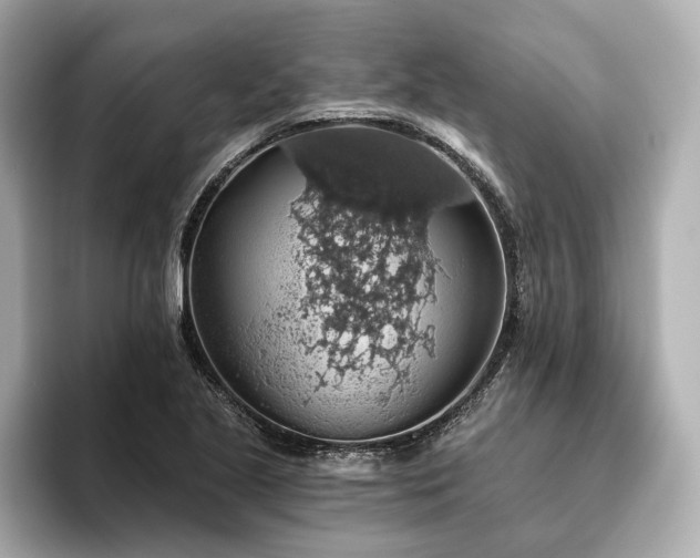 X0000093621221200710151254