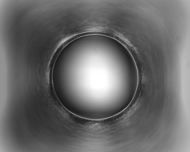 X0000093621222200710151254