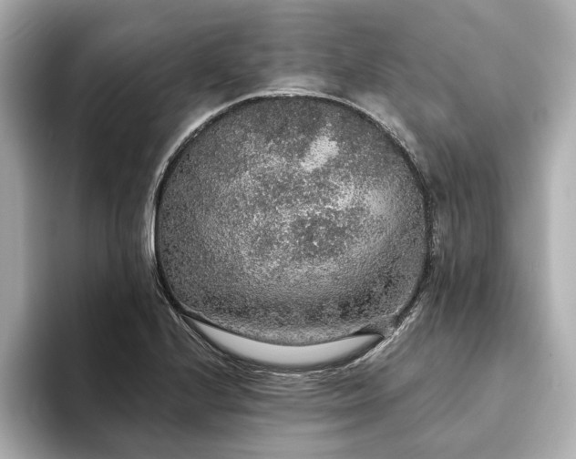 X0000093621224200710151254