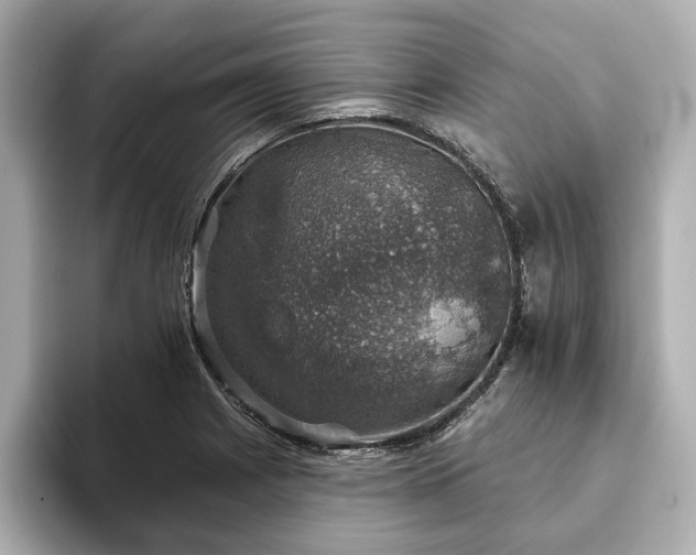 X0000093621225200710151254
