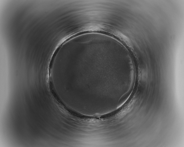 X0000093621226200710151254