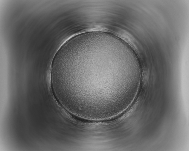 X0000093621228200710151255