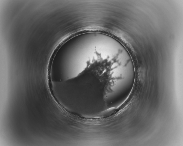 X0000093621229200710151255