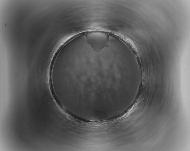 X0000093621231200710151255