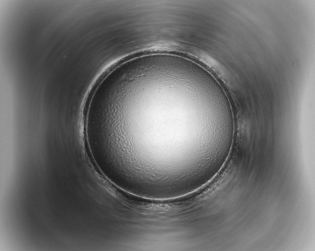 X0000093621232200710151255