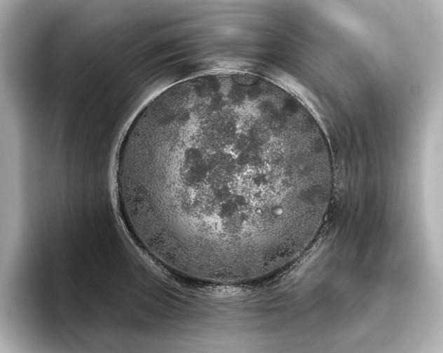X0000093621235200710151255