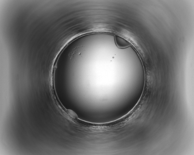 X0000093621236200710151255