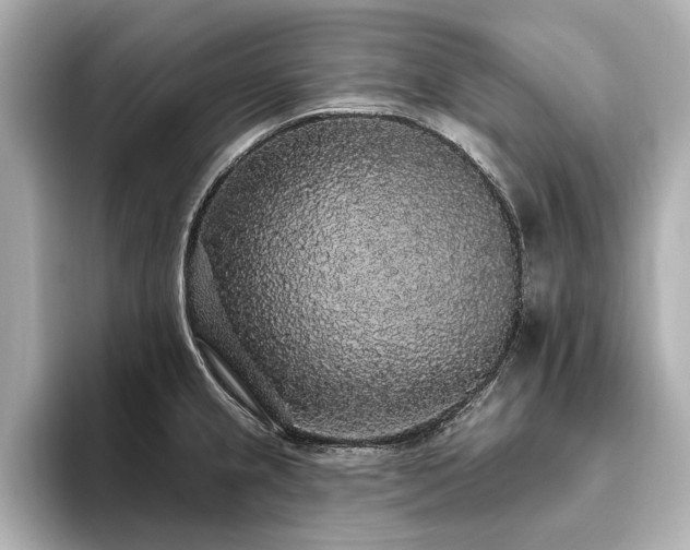 X0000093621237200710151255