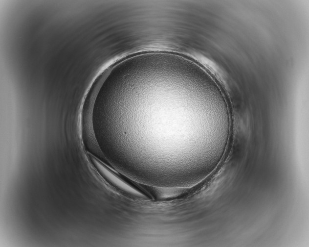 X0000093621238200710151255