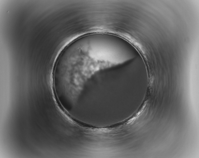 X0000093621239200710151255