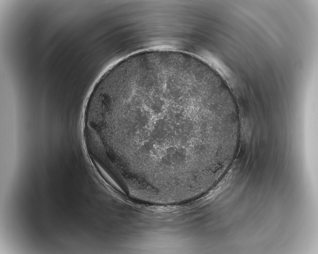 X0000093621240200710151255