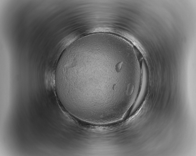 X0000093621241200710151255
