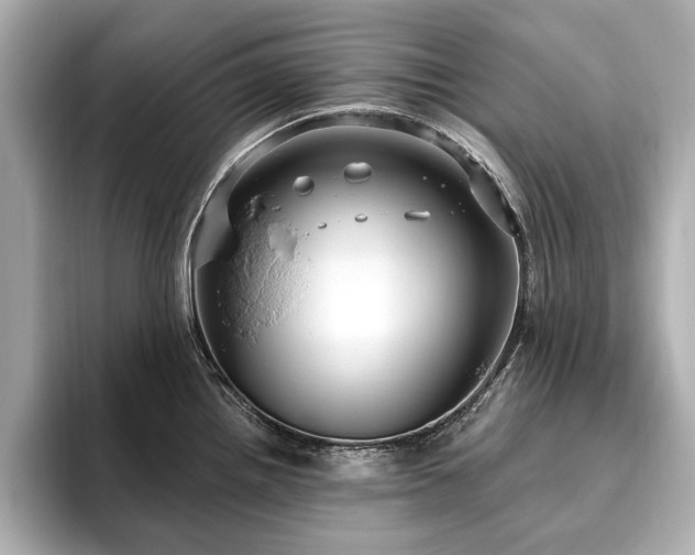 X0000093621242200710151255