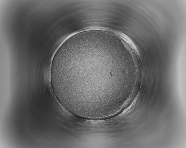 X0000093621244200710151255