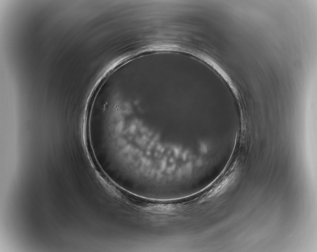 X0000093621245200710151255