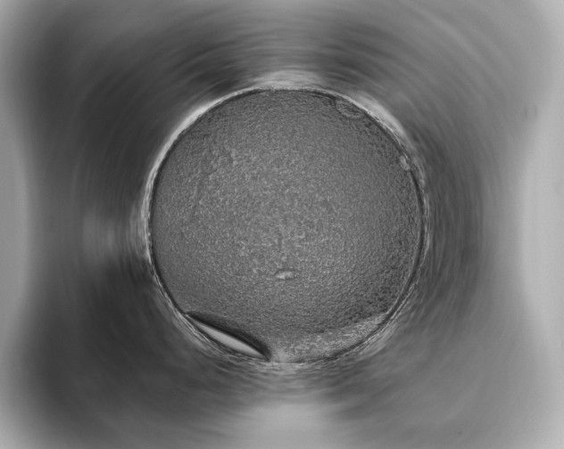 X0000093621248200710151255