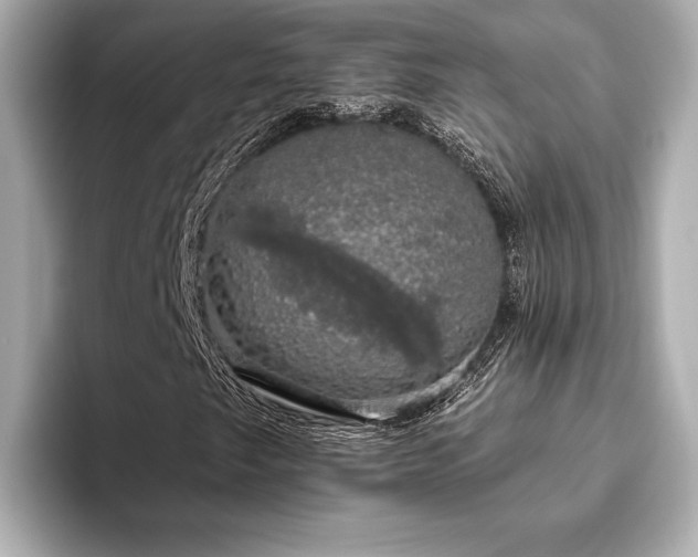 X0000093621249200710151254