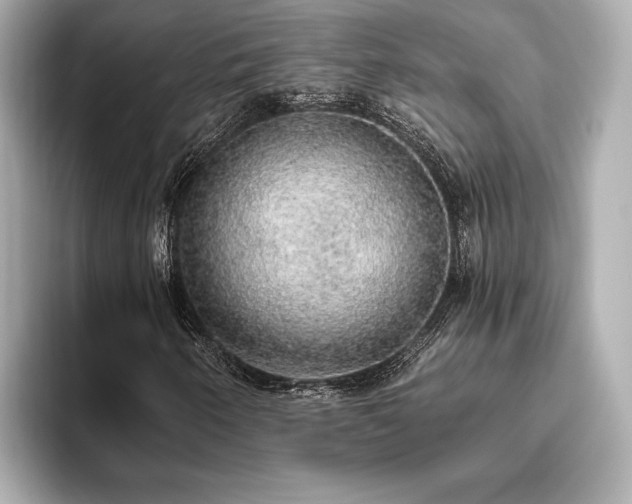 X0000093621250200710151254