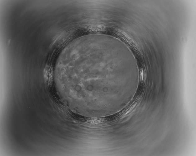 X0000093621251200710151254