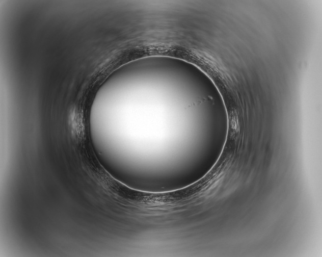 X0000093621252200710151254