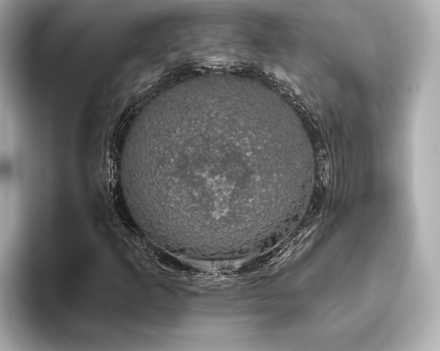 X0000093621253200710151254