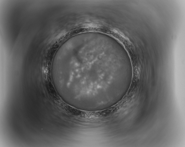 X0000093621254200710151254