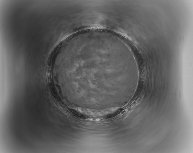X0000093621255200710151254