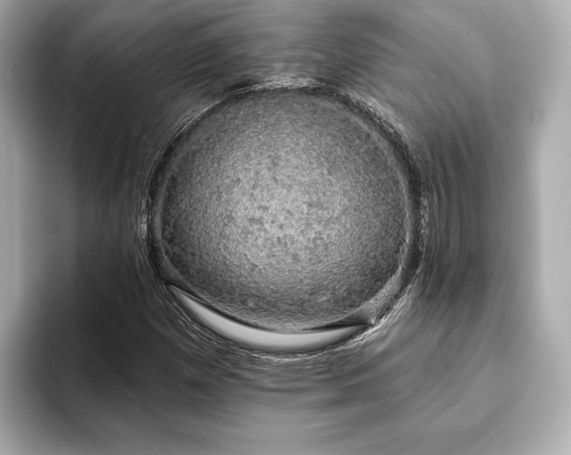 X0000093621257200710151254