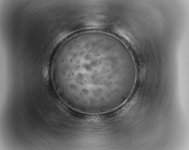 X0000093621259200710151254