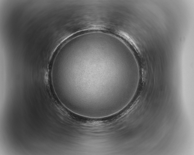 X0000093621260200710151254