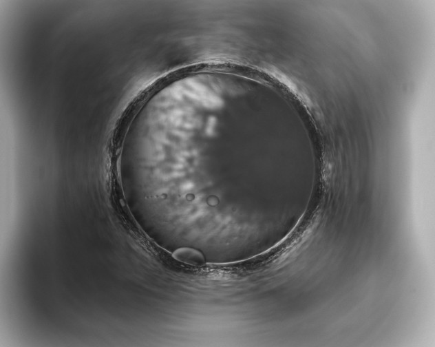 X0000093621263200710151254