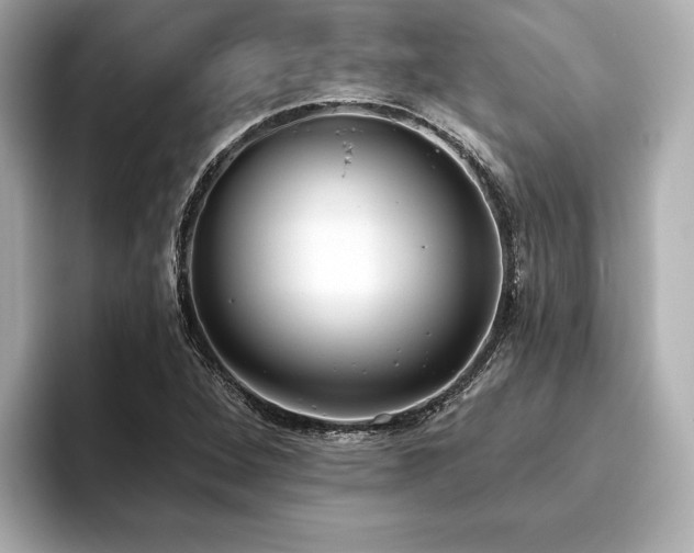 X0000093621264200710151254