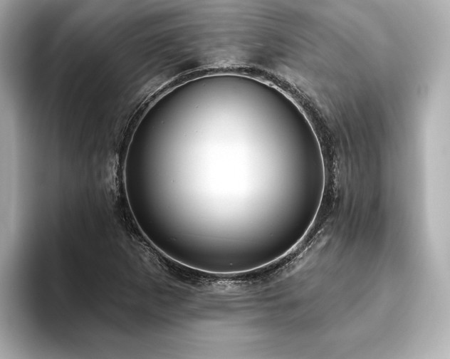 X0000093621265200710151254