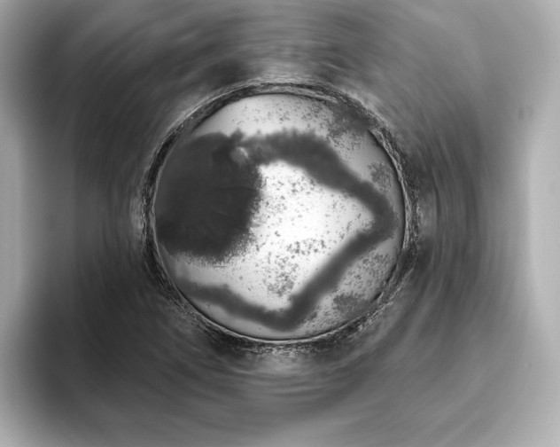 X0000093621266200710151254