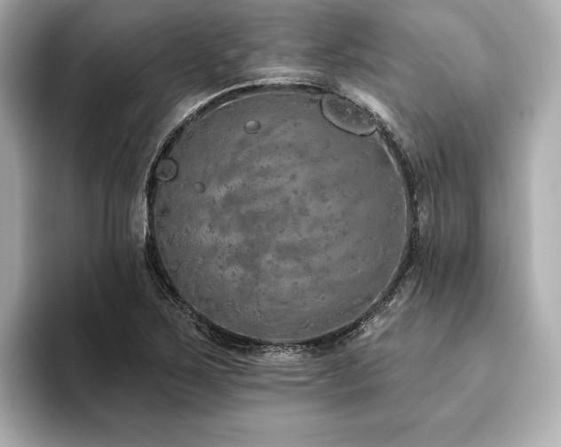 X0000093621267200710151254