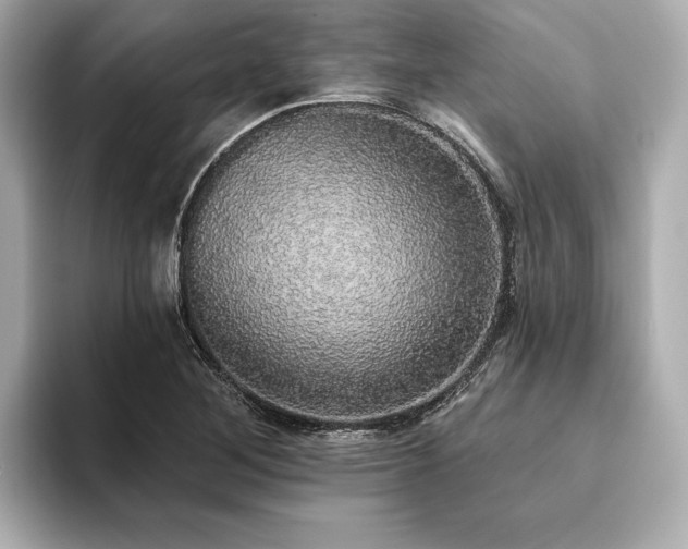 X0000093621268200710151254