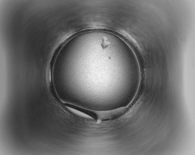 X0000093621269200710151254