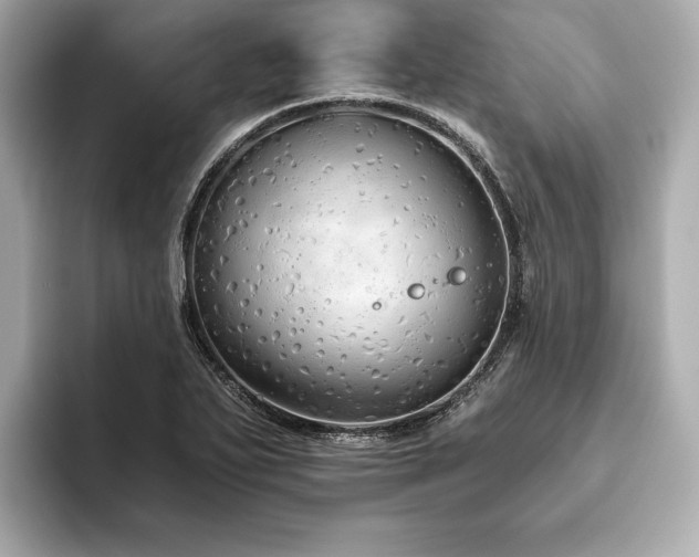 X0000093621271200710151254