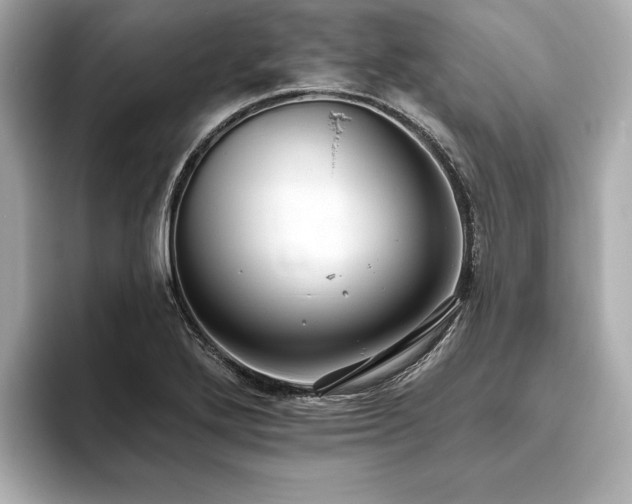 X0000093621272200710151254