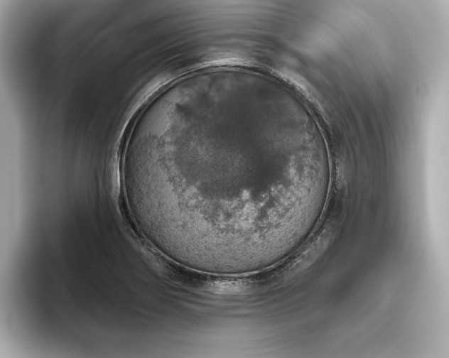 X0000093621274200710151254