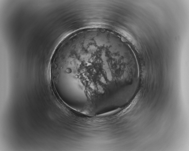 X0000093621275200710151254