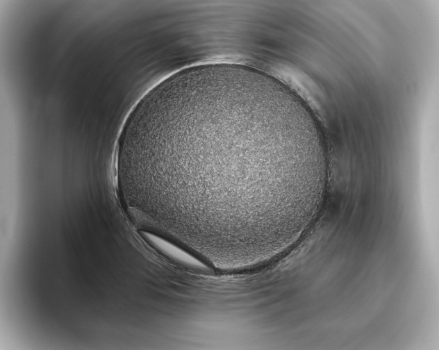 X0000093621276200710151254