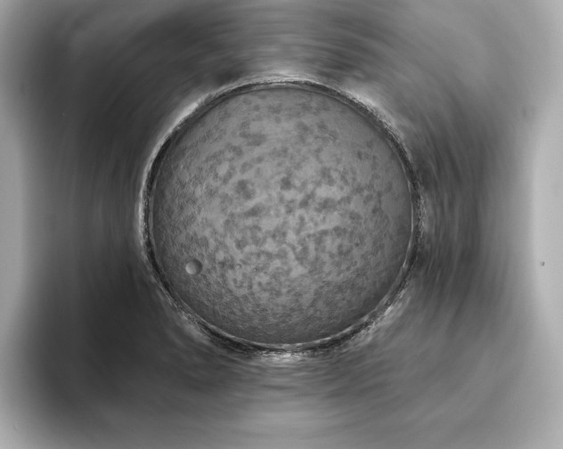 X0000093621278200710151254